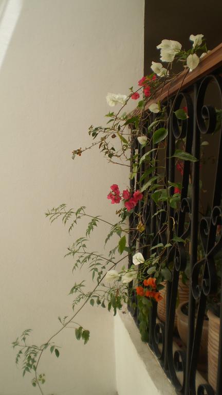 Dar Darek Hotel Essaouira Exterior foto